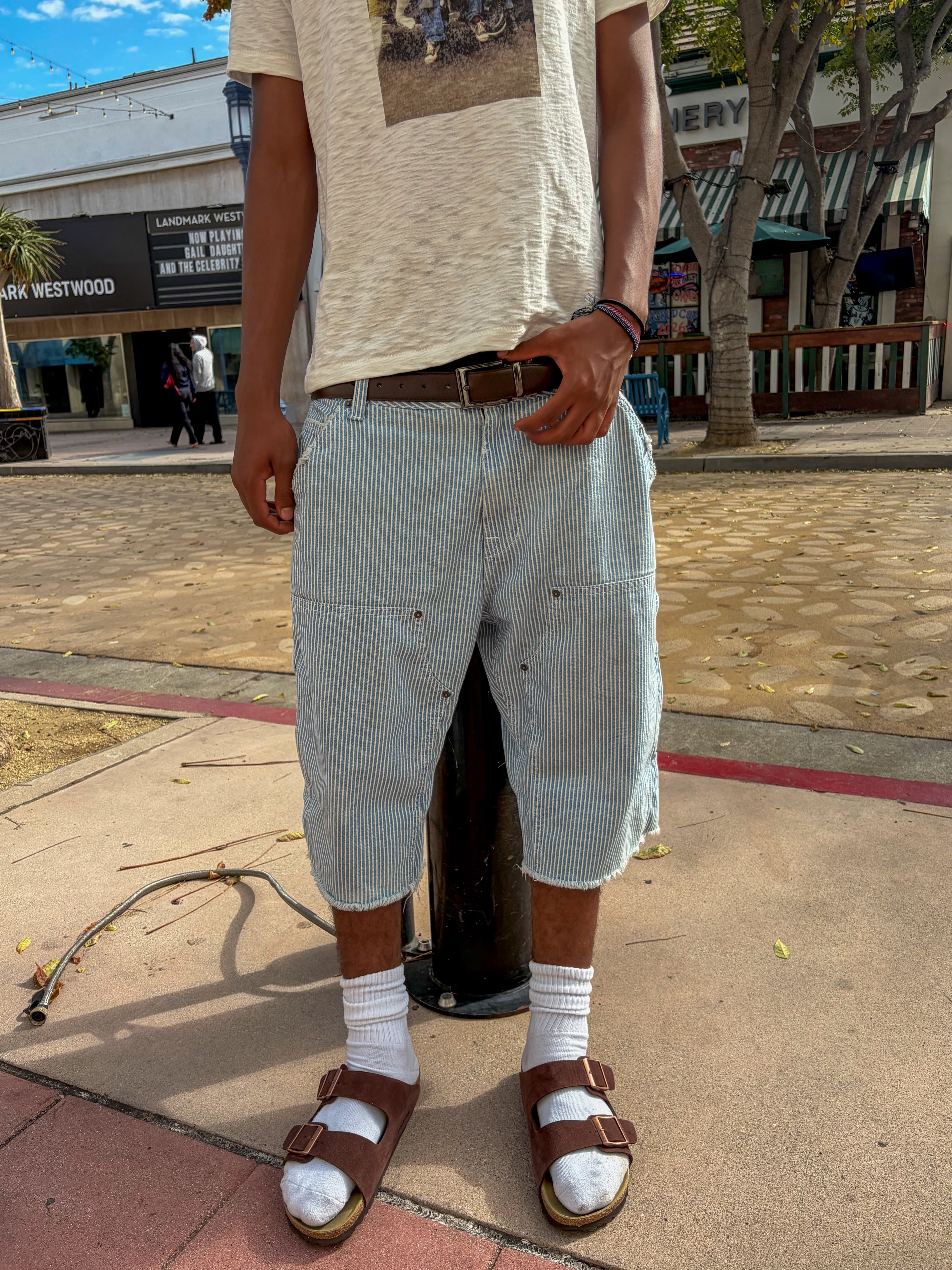Hickory shorts